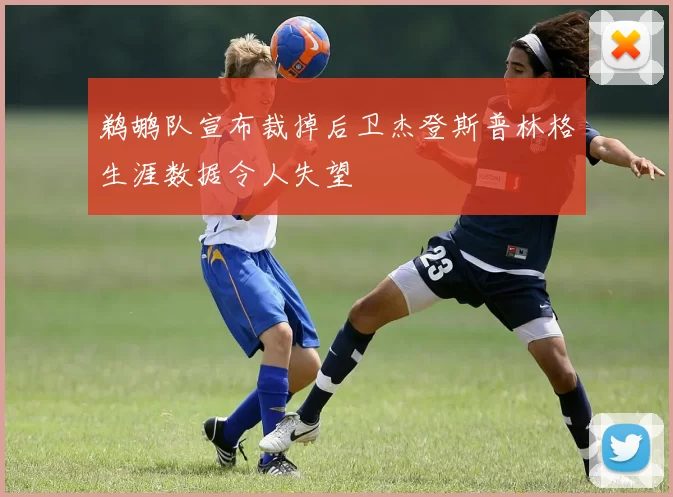 鹈鹕队宣布裁掉后卫杰登斯普林格生涯数据令人失望