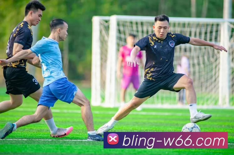 利来国际APP 封面图